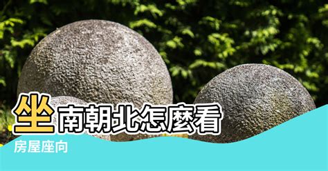 座南朝北意思|【風水地方方向】房屋座向 